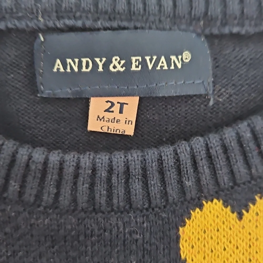 NWT Navy Heart Sweater and Pink Leggings Set By Andy‎ And Evan 2T